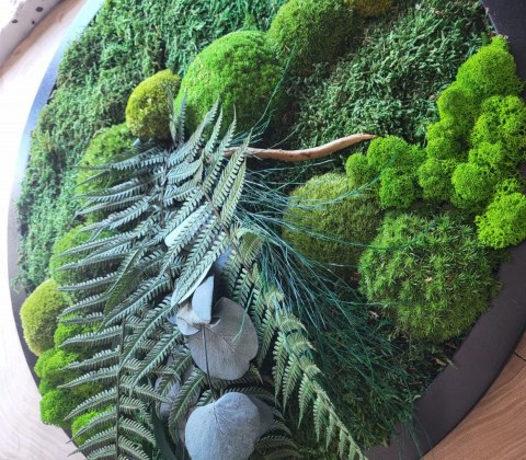 Okrągły obraz z mchu i roślin stabilizowanych, 50 cm