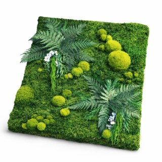 Panel ścienny z mchu płaskiego I poduszkowego z dodatkiem roślin stabilizowanych