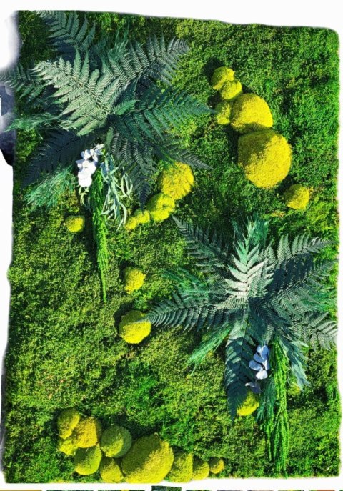 Panel ścienny z mchu płaskiego I poduszkowego z dodatkiem roślin stabilizowanych