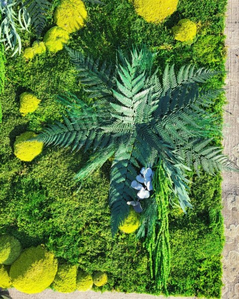 Panel ścienny z mchu płaskiego I poduszkowego z dodatkiem roślin stabilizowanych