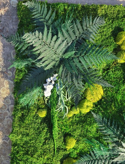 Panel ścienny z mchu płaskiego I poduszkowego z dodatkiem roślin stabilizowanych