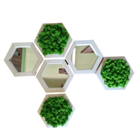Zestaw heksagonów z mchem chrobotkiem z lustrami