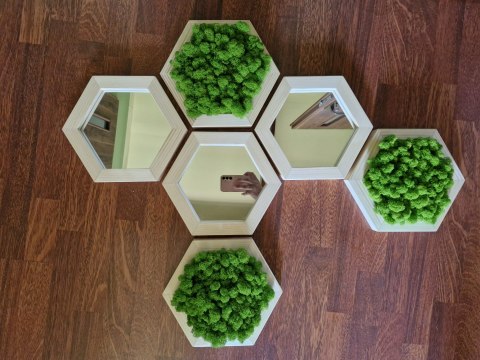 Zestaw heksagonów z mchem chrobotkiem z lustrami