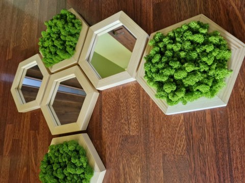 Zestaw heksagonów z mchem chrobotkiem z lustrami