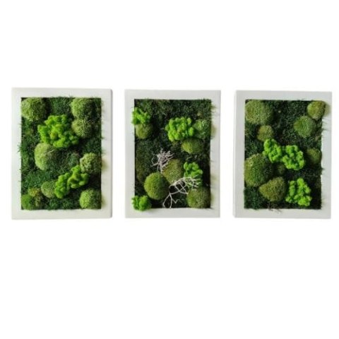 Zestaw trzech obrazów z mchu, 40x30 cm