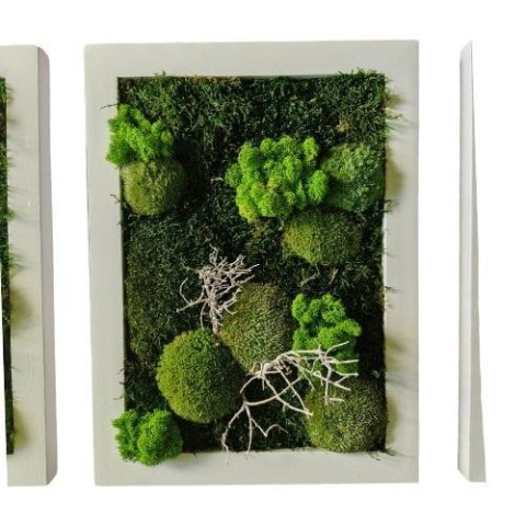 Zestaw trzech obrazów z mchu, 40x30 cm