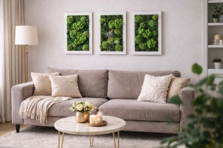 Zestaw trzech obrazów z mchu, 40x30 cm
