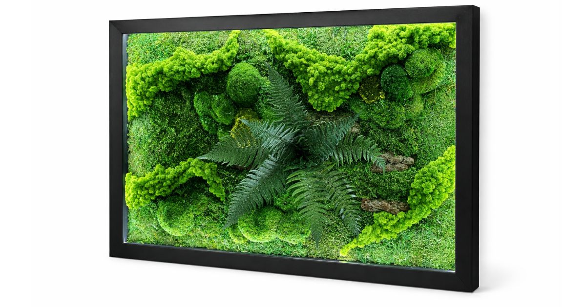 Jak dbać o obraz z mchu – praktyczny poradnik